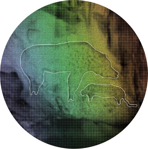idea #13〈Chauvet〉