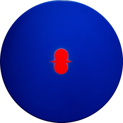 primary scape #6