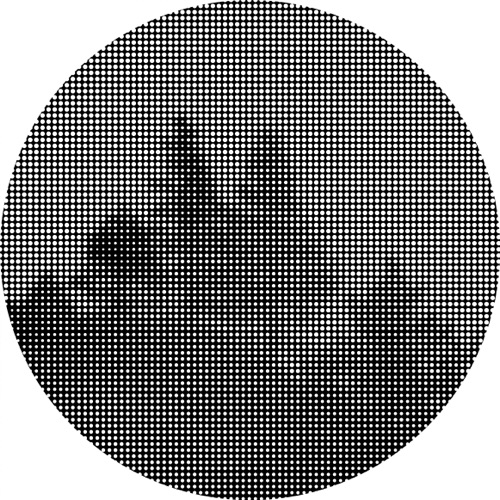 void #123