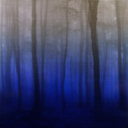 void #15