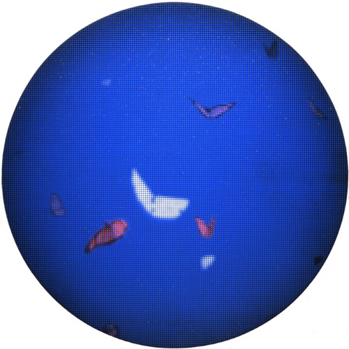 void #20