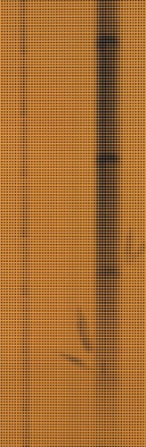 void #29