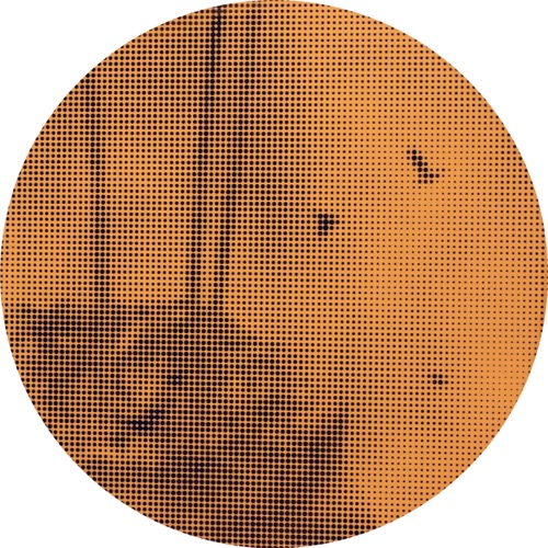 void #33