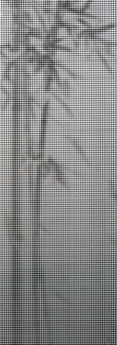 void #37