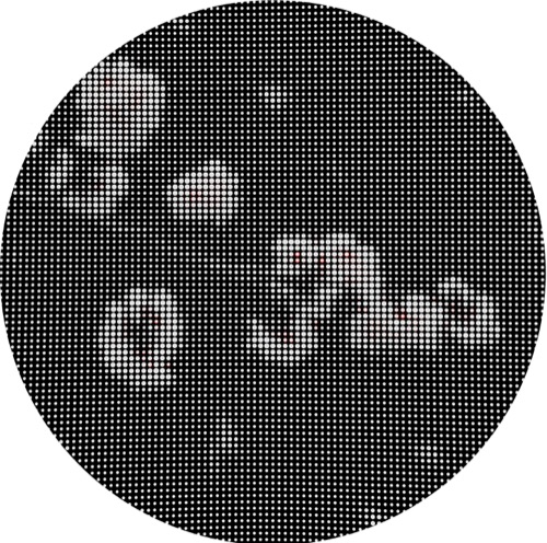 void #39