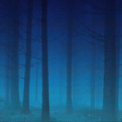 void #40