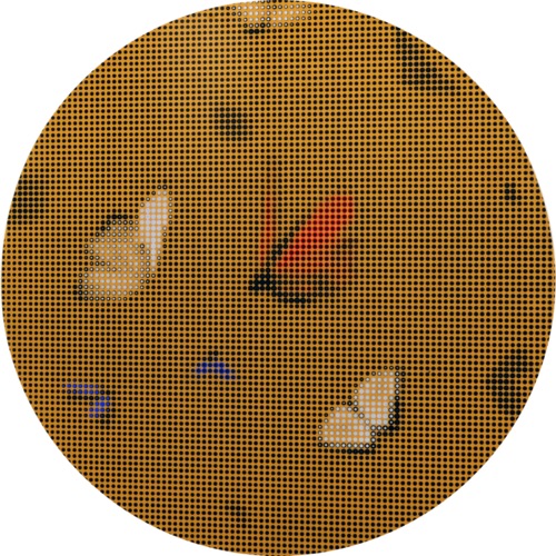 void #42