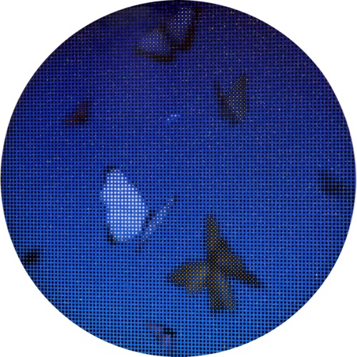 void #43