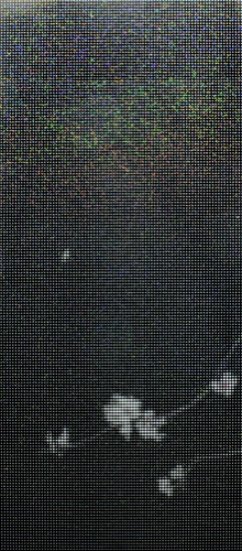 void #46