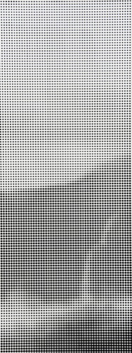 void #5
