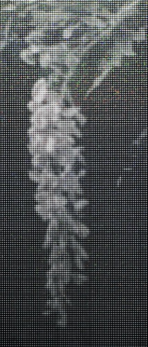 void #65