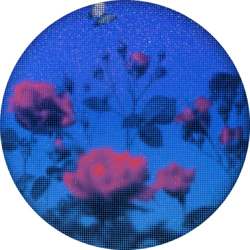void #66