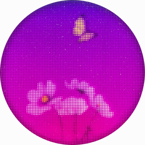 void #67