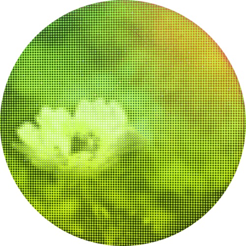 void #69