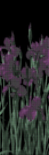 void #81