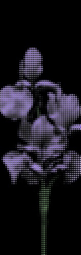 void #82